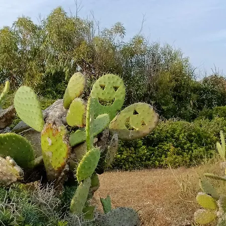 Apartment Casa Bonaria - Iun R 6698 Sant'Antioco